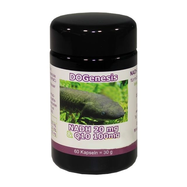 NADH 20mg & Q10, 100mg - RF