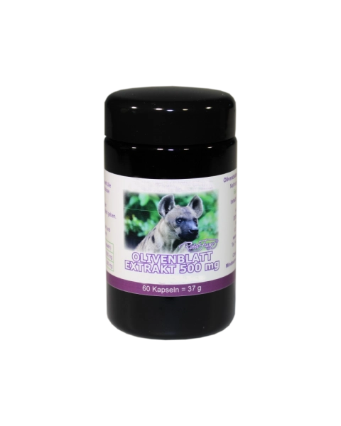 Olivenblattextrakt 500 mg, 60 Kapseln - RF